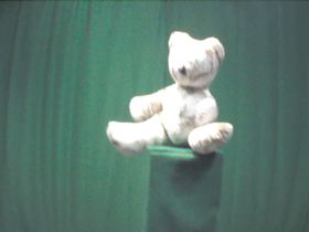 270 Degrees _ Picture 9 _ Green and White Teddy Bear.png